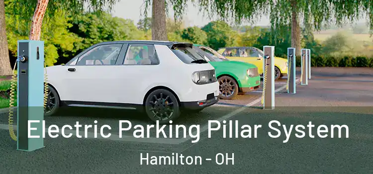  Electric Parking Pillar System Hamilton - OH